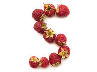Isolated alphabet letter lined with fresh raspberries