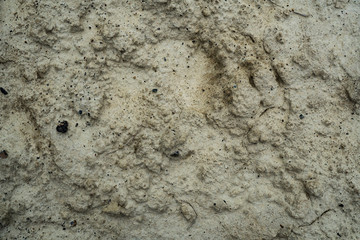 Texture of dried cracked clay. Macro background image of dried clay