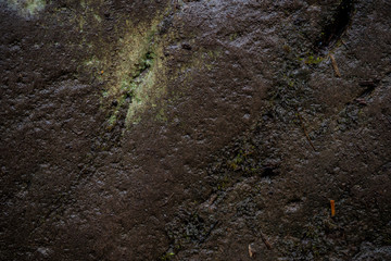 Texture of wet stone covered with moss. Background image of macro photography texture stone