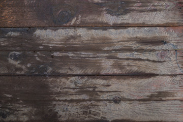Wet wood texture. Macro background image of a wet dark wood