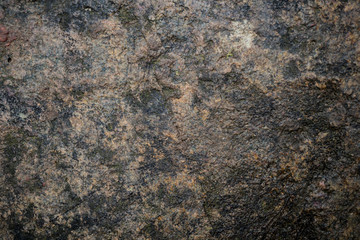 Texture of wet stone covered with moss. Background image of macro photography texture stone