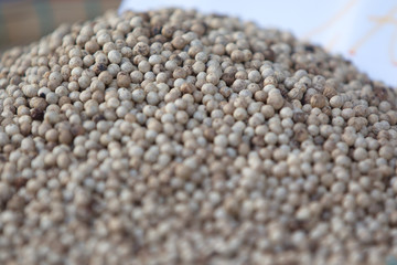 Dried pepper seeds - special and famous product of Phu Quoc island, Vietnam