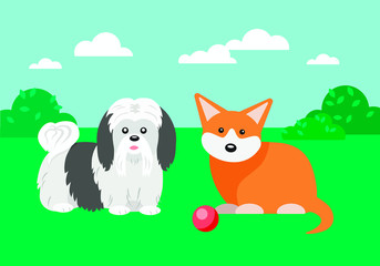 Vector illustration of a dogs on a walk playing with a ball, Lhasa Apso and Corgi