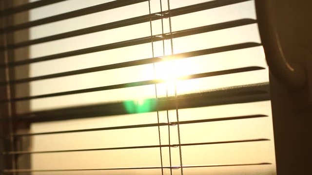 Sunrise behind the window blinds and mosquito net. Rising sun behind window blinds. Sunlight behind vertical blinds.