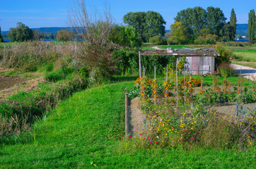 They still exist: in a world full of increasing human order and cold rational architecture, a...