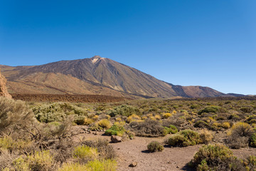 Teide National Park, Tenerife, Canary Islands, Spain