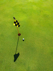 Ball on the putting green