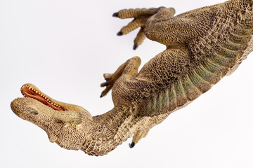 Isolated dinosaur on white background