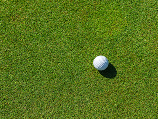 golf training in the driving range