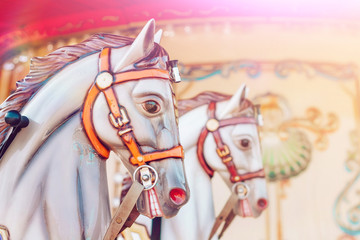 Carousel horse. Fragment of a French carousel with horses