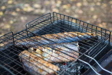 Spiced Mullet Seafood Preparing on Grill Outdoors.