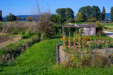 They still exist: in a world full of increasing human order and cold rational architecture, a...