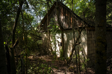 Verlassenes Wohnhaus in der radioaktiven Tschernobyl-Sperrzone in Belarus (Weißrussland)