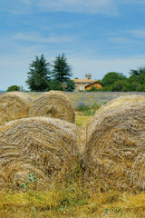 haystack in wheat field
