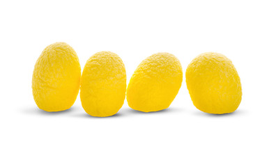 yellow thai silkworm cocoons pile isolated on white background
