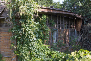 Verlassenes Wohnhaus in der radioaktiven Tschernobyl-Sperrzone in Belarus (Weißrussland)