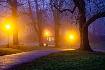 mystical foggy autumn park in october