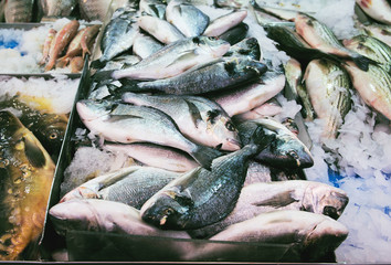 Fresh fish on ice at the market close up. Food concept background