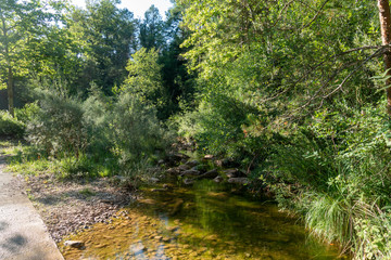 Natural environment of the town of Ripoll in Girona