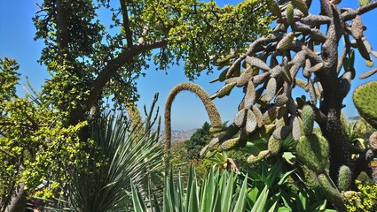 Gate to Funchal