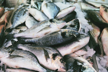 Fresh dorado fish on ice at the market close up. Food concept background