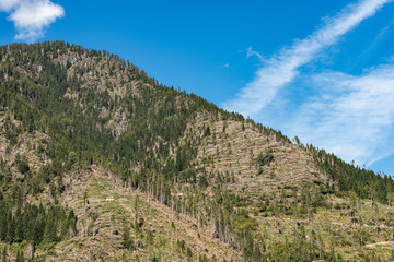 Trees fallen from the wind in November 2018, Predazzo, Val di Fiemme. Natural disaster in Trentino Alto Adige, Italy, Europe