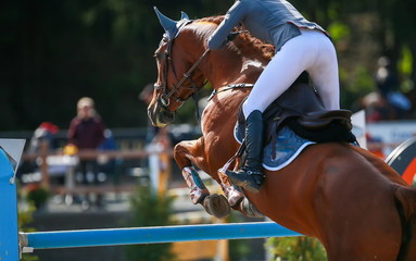 Horse with rider, jumping over an obstacle in the jumping tournament..