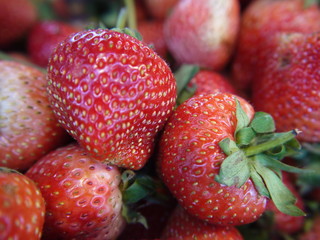 fresh strawberries