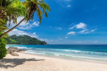 Fototapeten Tropischer Sonnenstrand und Kokospalmen auf den Seychellen. Sommerferien und tropisches Strandkonzept. © lucky-photo