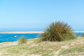 BASSIN D'ARCACHON (France), dune du Pilat et Banc d'Arguin