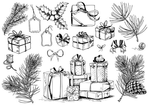 Gift box sketch. Christmas collection of ribbon bows, present boxes and evergreen branches. Hand drawn vector illustration.