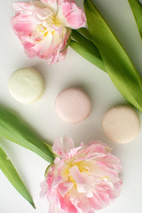 Obraz na płótnie Canvas French dessert macaroons and a tulip flower