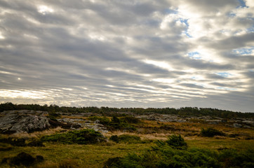 wild landscape in southern sweden during autumn - 291675020
