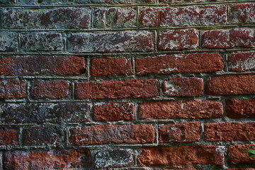 Old brock wall texture background