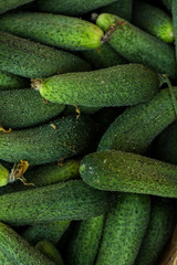 Cucumber background. Gardening concept. Top view, close up.