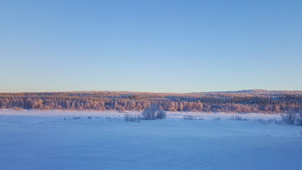 Panoramic view of winter arctic snow covered forest under the sunset lights. Midnight sun in Lapland, Finland