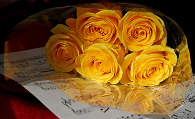 A bouquet of colourful yellow roses laying on the piece of paper with notes and decorated with maroon fabric, love and romantic foto