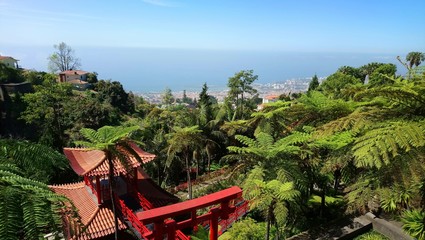Funchal Tropical Garden