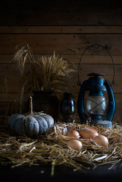 Eggs in the straw nest and old lanterns in old barn which has dim light,
