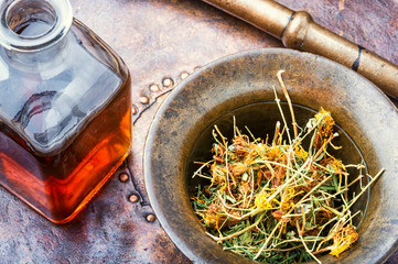 Hypericum healing plant
