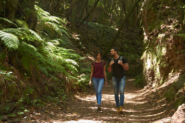 Naklejka na ściany i meble Couple walking next to large tree ferns