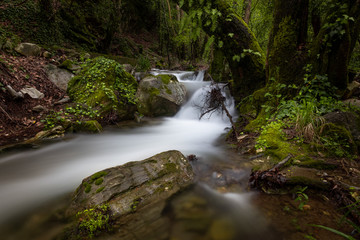 Obraz premium waterfall in the forest