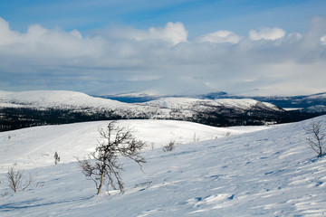 winter in the mountains