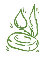 Aloe vera hand drawn icon. Healing and cosmetics herb. succulent line illustration on background. botanical. medicinal plant leaves cuttings. 