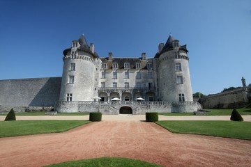 Fototapeta na wymiar Château de la Roche Courbon