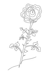 flower rose hand-drawn in one line, black and white sketch