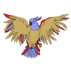 Vector Sky bird cockatoo in a wildlife isolated. Black and white engraved ink art. Isolated parrot illustration element.