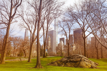 Obraz premium Central park untouched nature parts and NY skyline