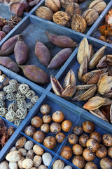 Ingredients for a witch cooking recipe