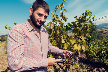 40 years old engineer measuring with refractometer in a vineyard. Selective focus